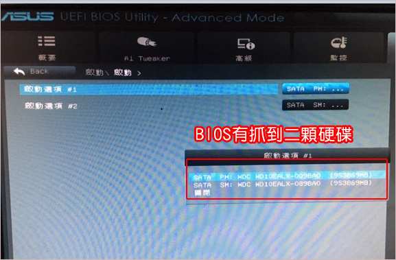 bios.jpg