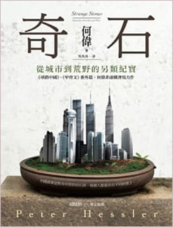 奇石-何偉.jpg