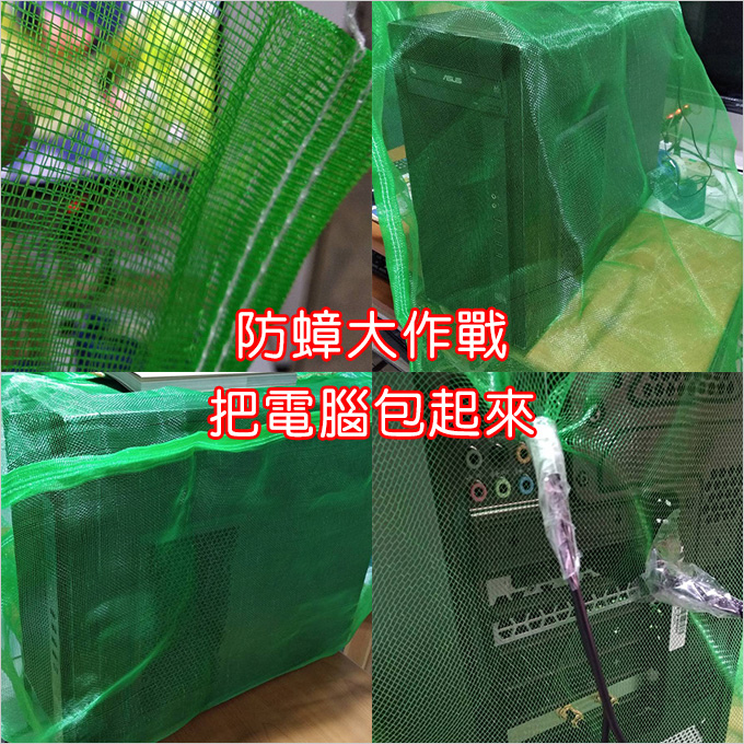 網袋.jpg
