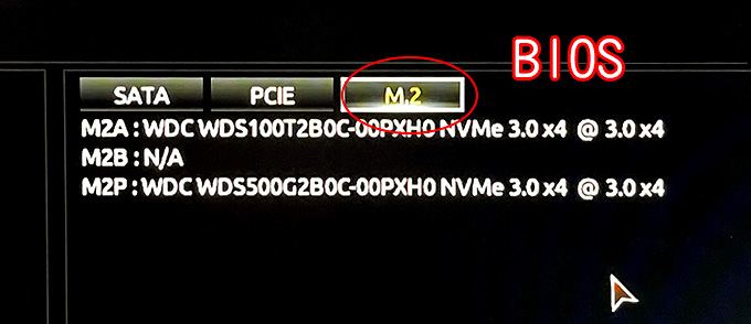bios.jpg