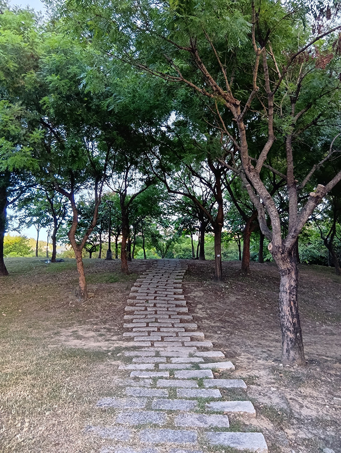 夏普-SHARP-AQUOS-wish4-5G.jpg