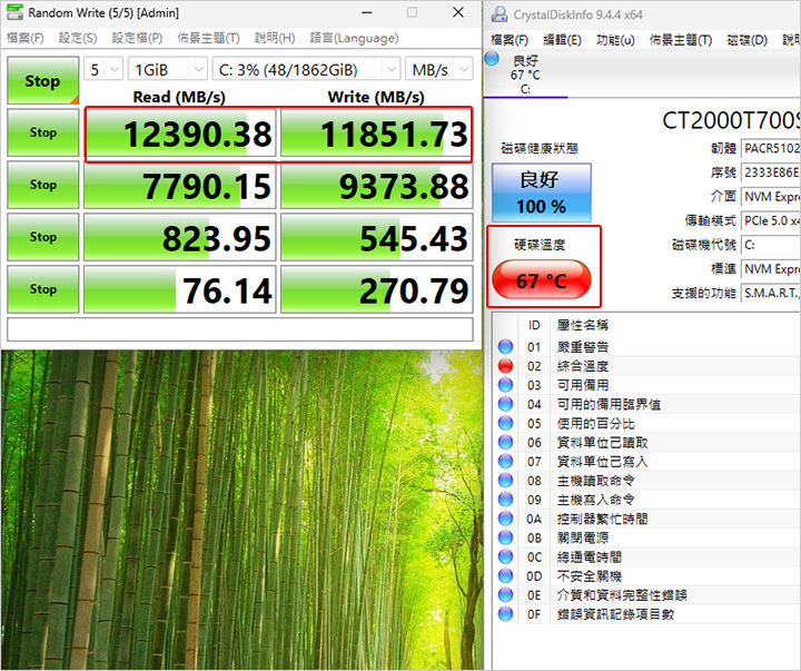 歡迎光臨
