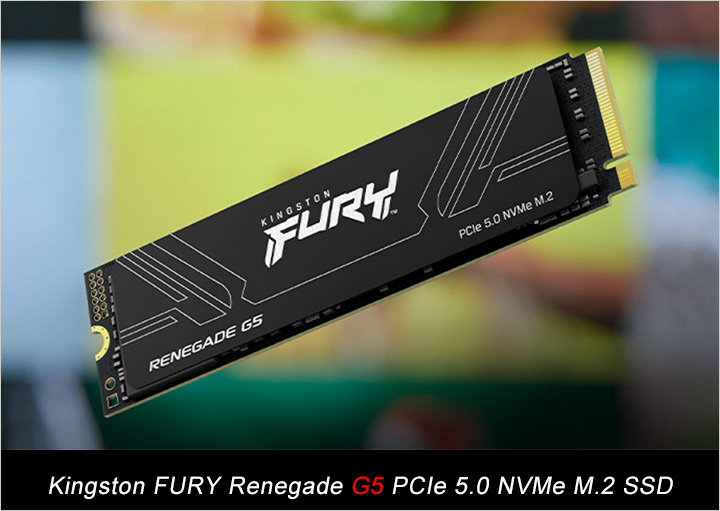 金士頓-FURY-Renegade-G5.jpg