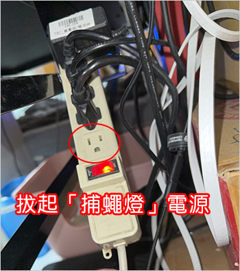 捕蠅燈.jpg